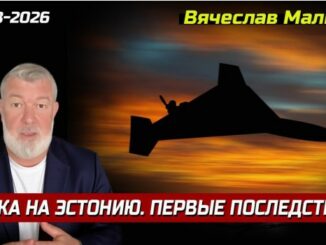 «Атака на Эстонию. Первые последствия.»